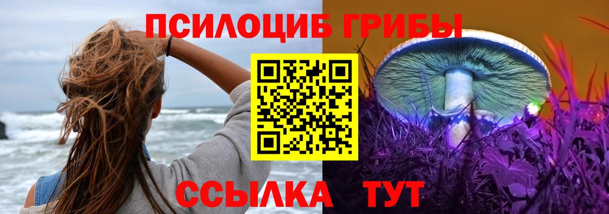 Галлюциногенные грибы прущие грибы Анжеро-Судженск